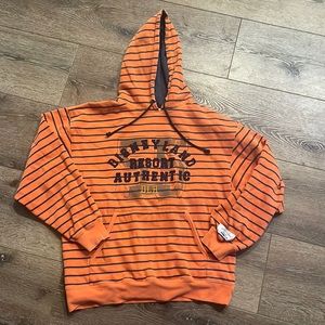 Disneyland resort authentic hoodie